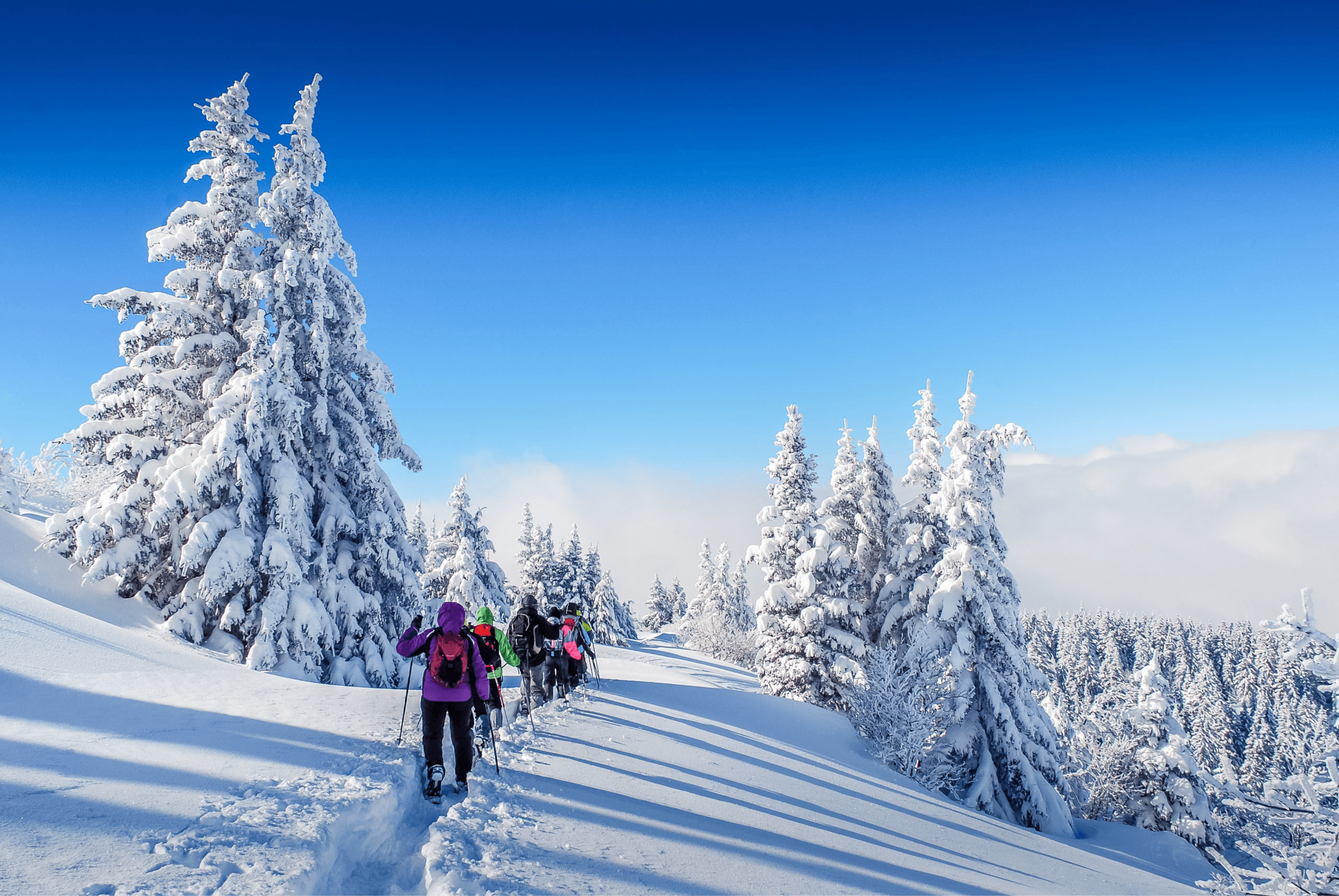 Les meilleurs séminaires au ski