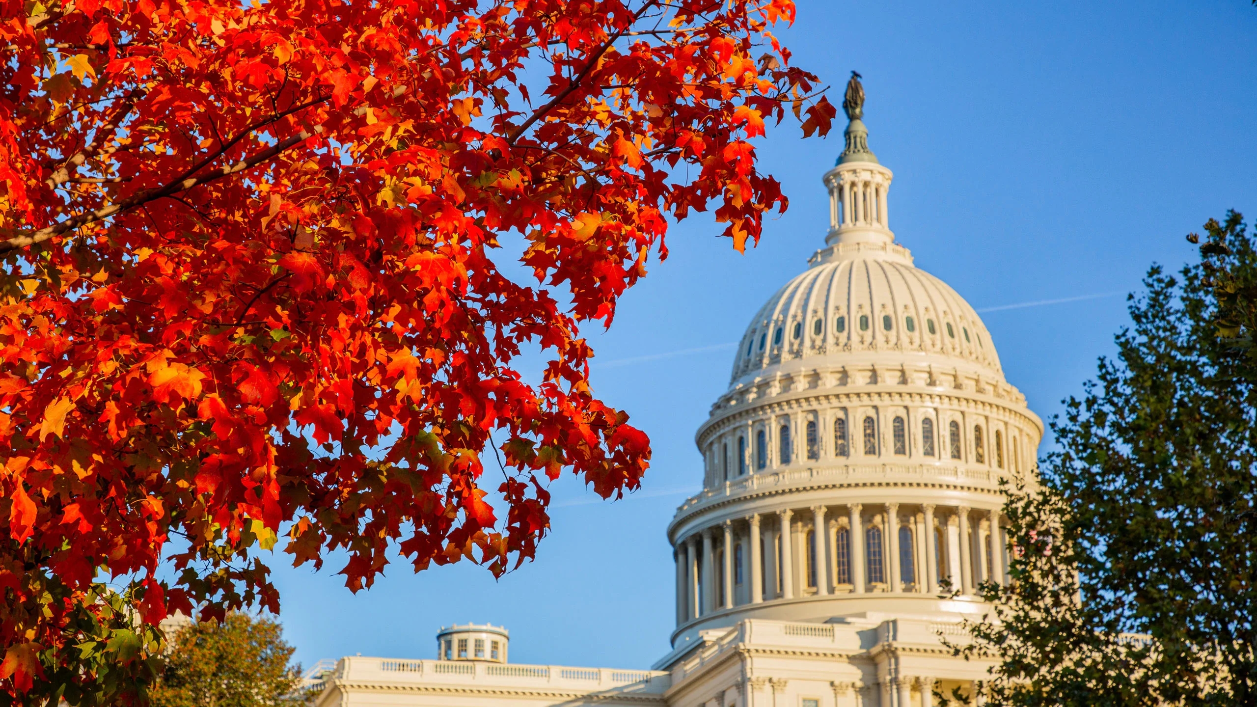 I migliori eventi aziendali a Washington