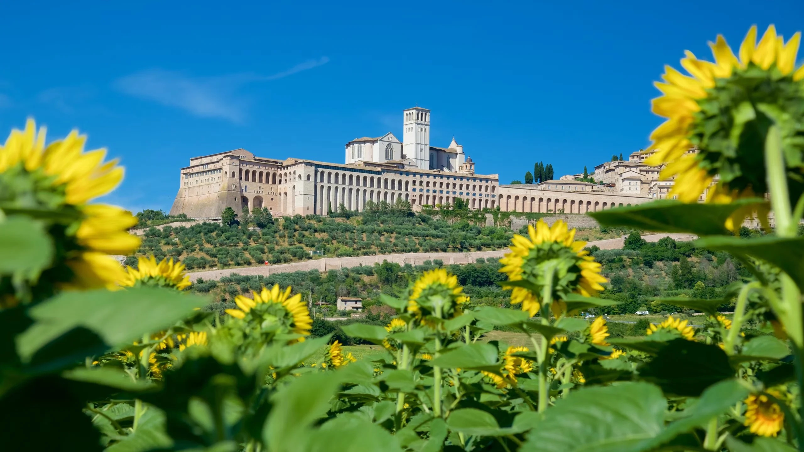 I migliori eventi aziendali in Umbria