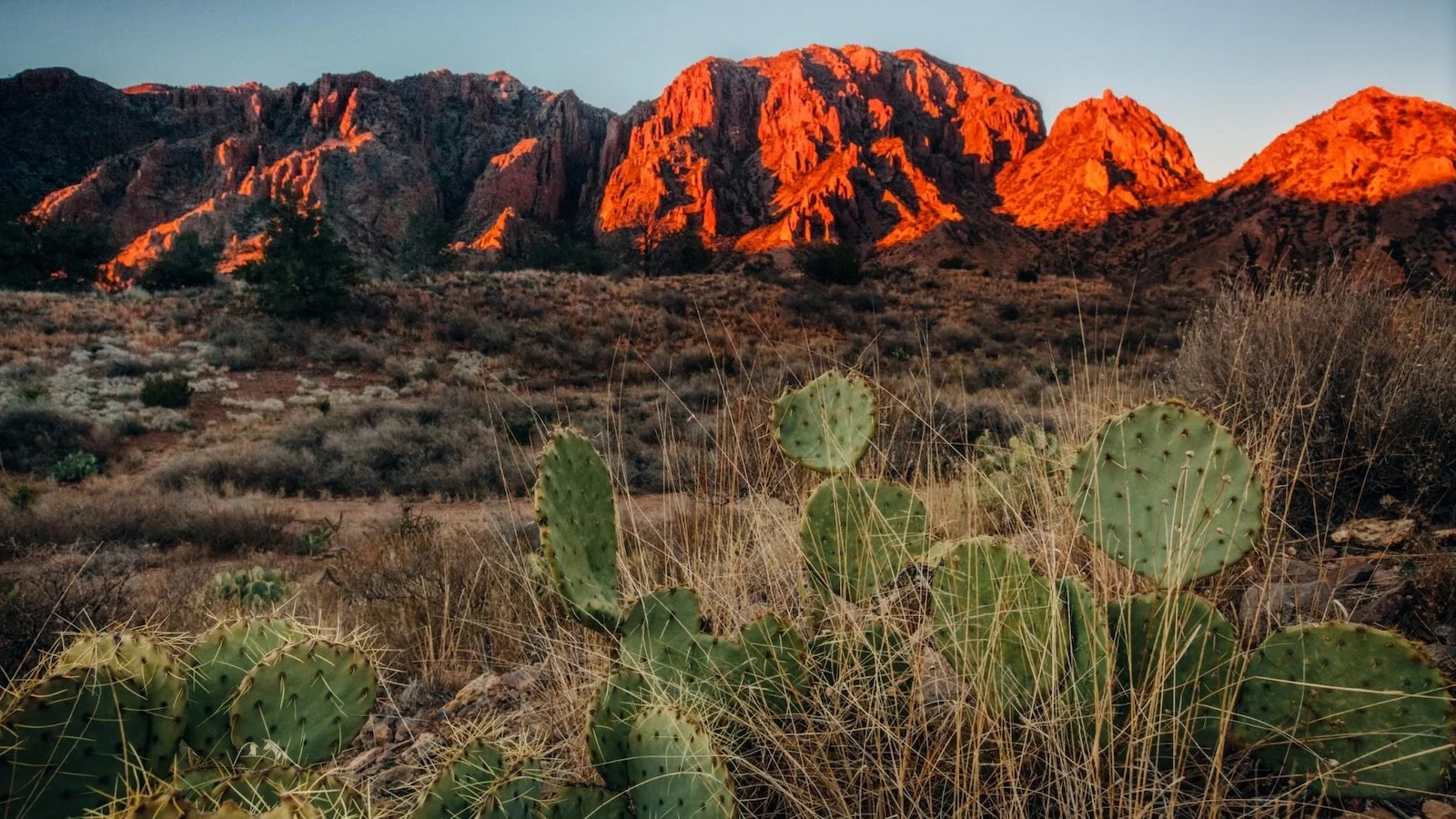 Die besten Seminare in Chihuahua