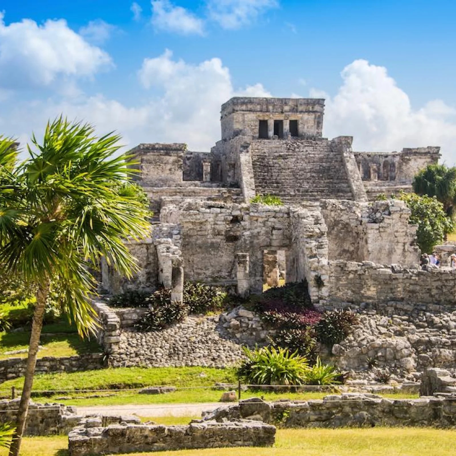 Die besten Seminare in Tulum