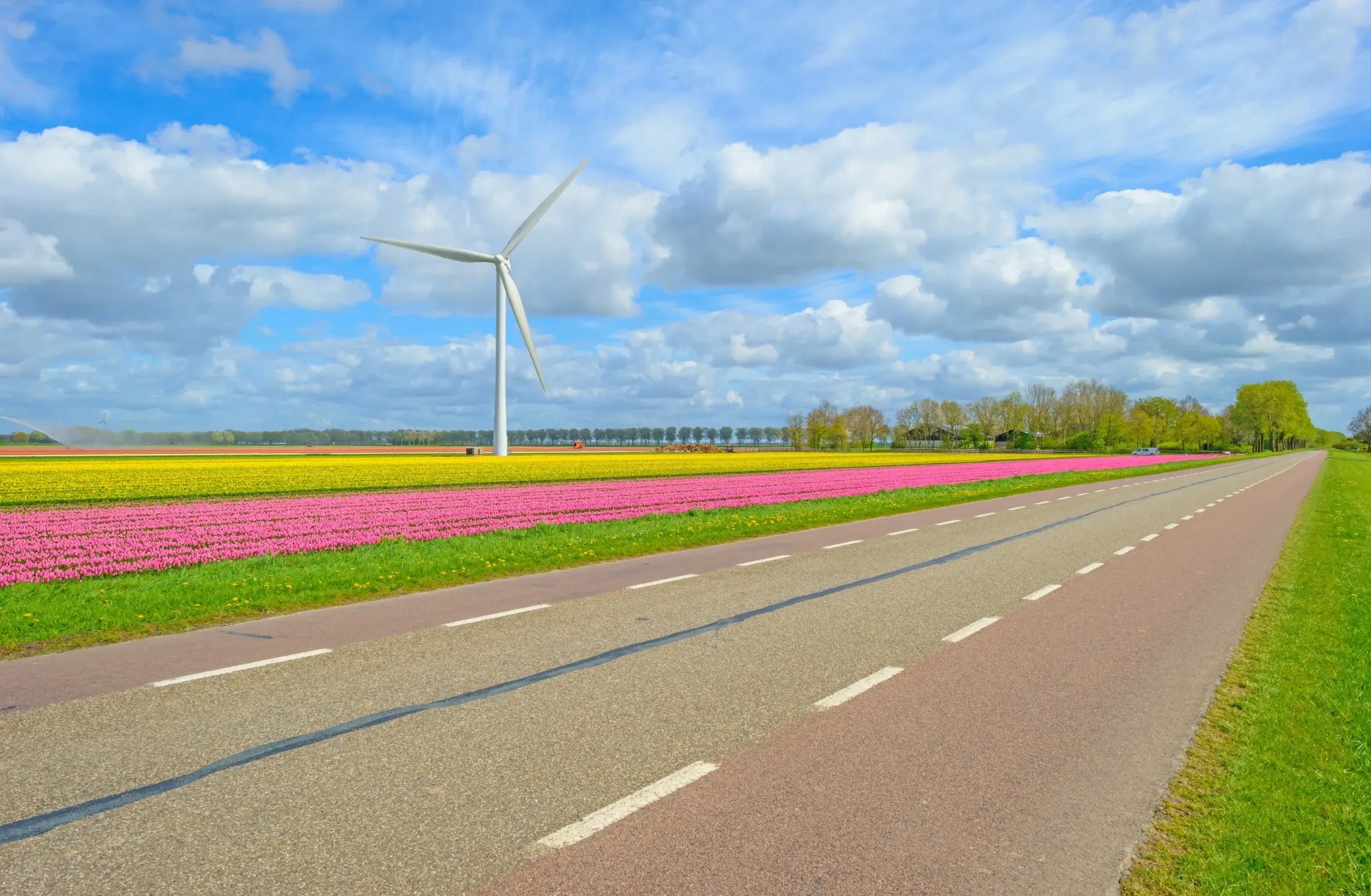 I migliori eventi aziendali ad Almere