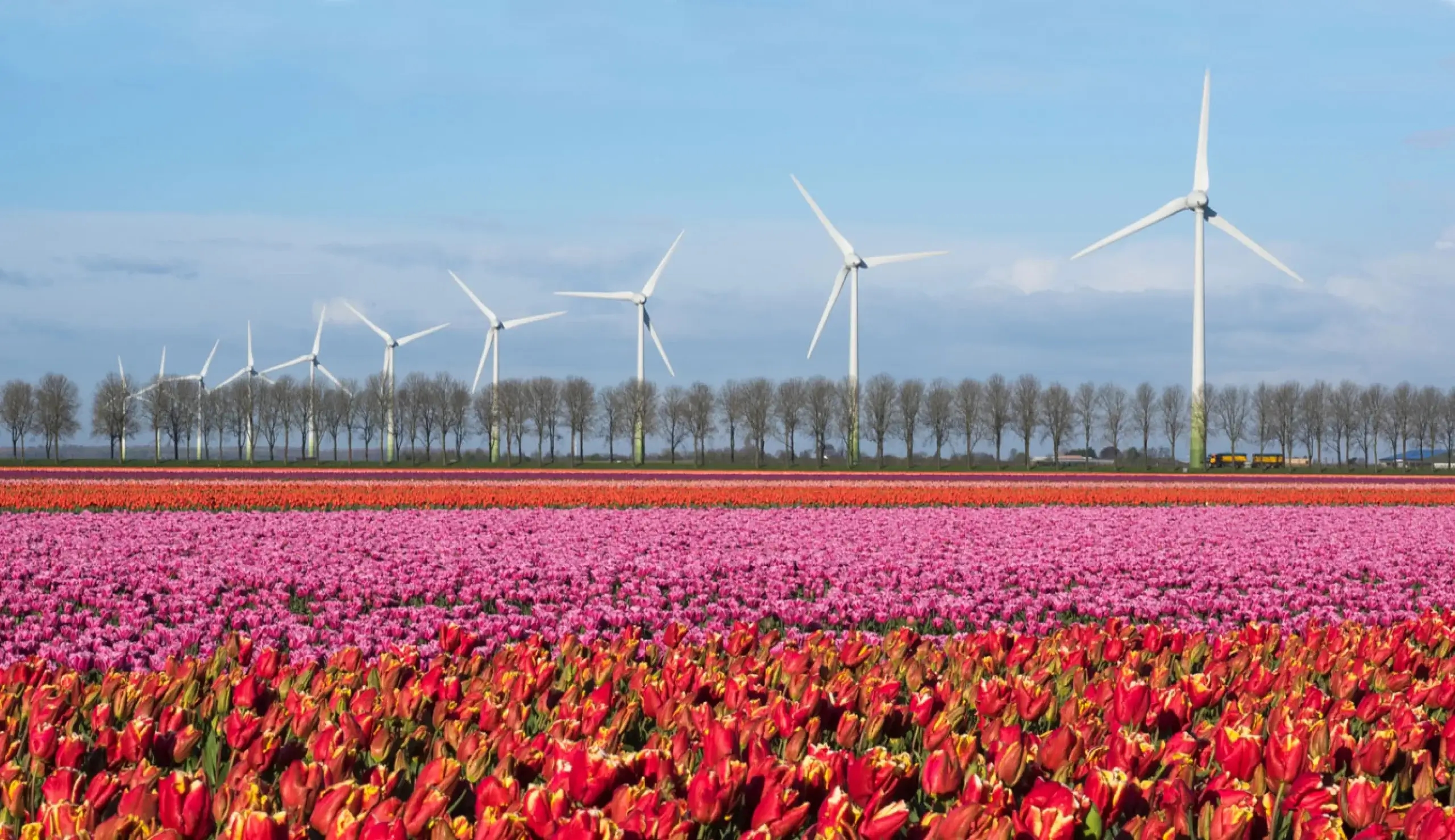 I migliori eventi aziendali a Flevoland