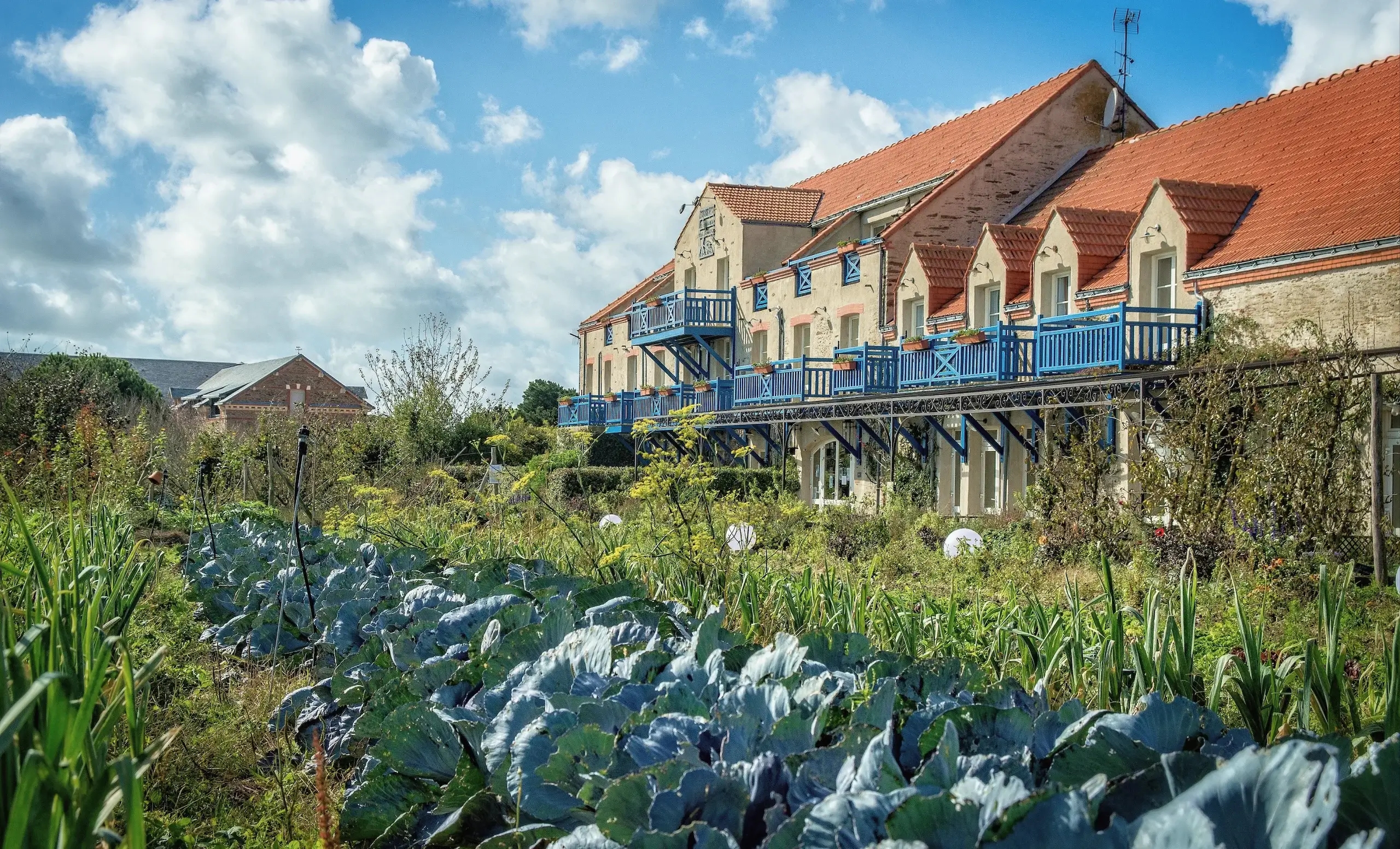 De beste corporate retreats in de natuur