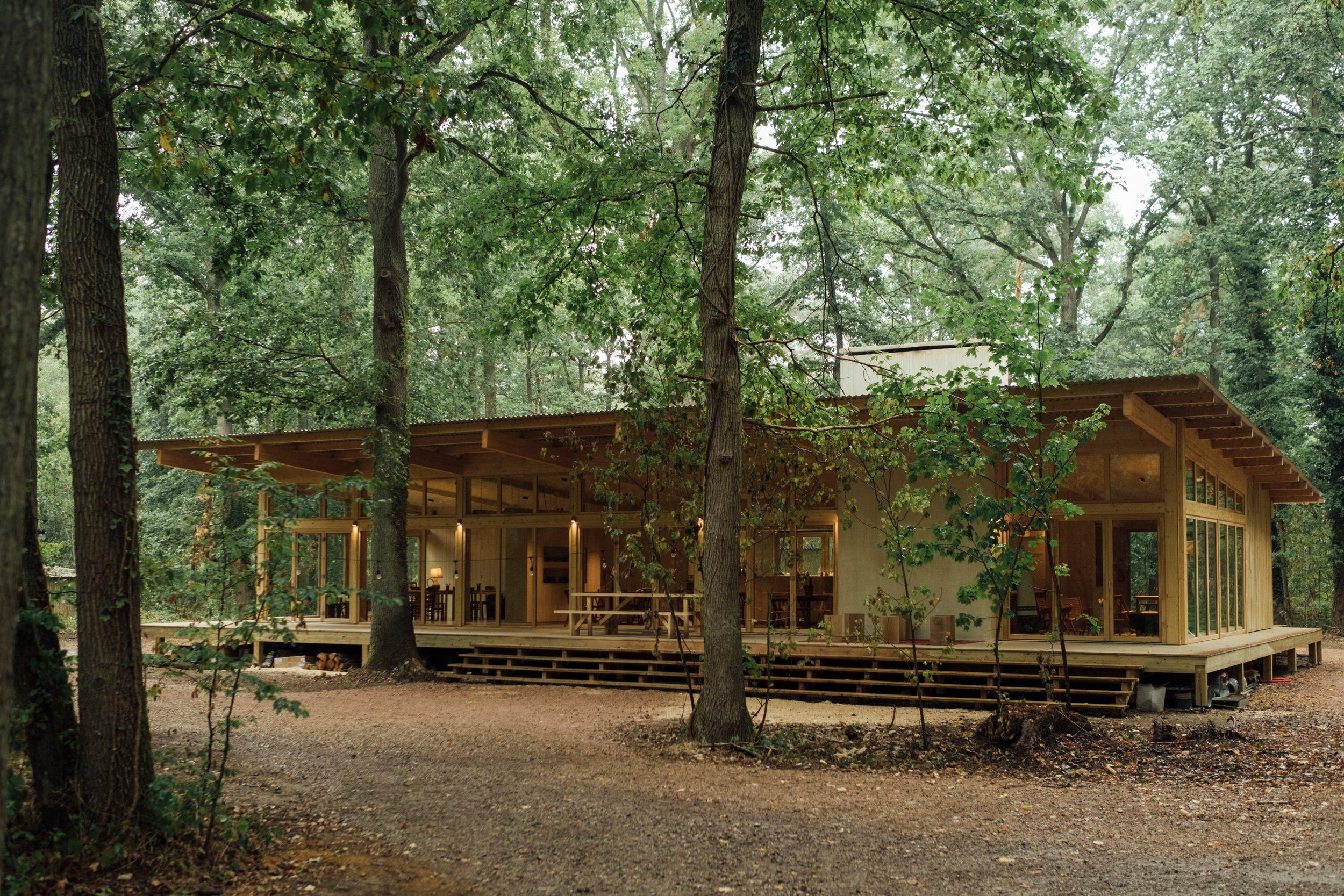 Image d'une cabane dans les bois