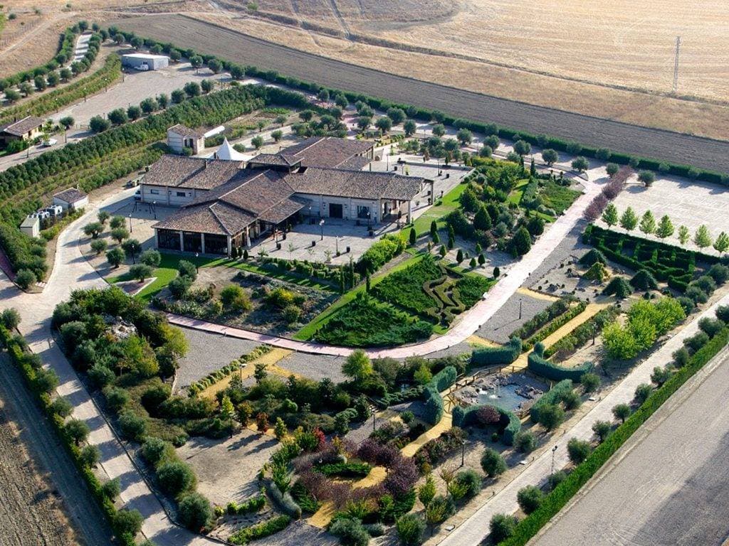 Olivar de Santa Teresa