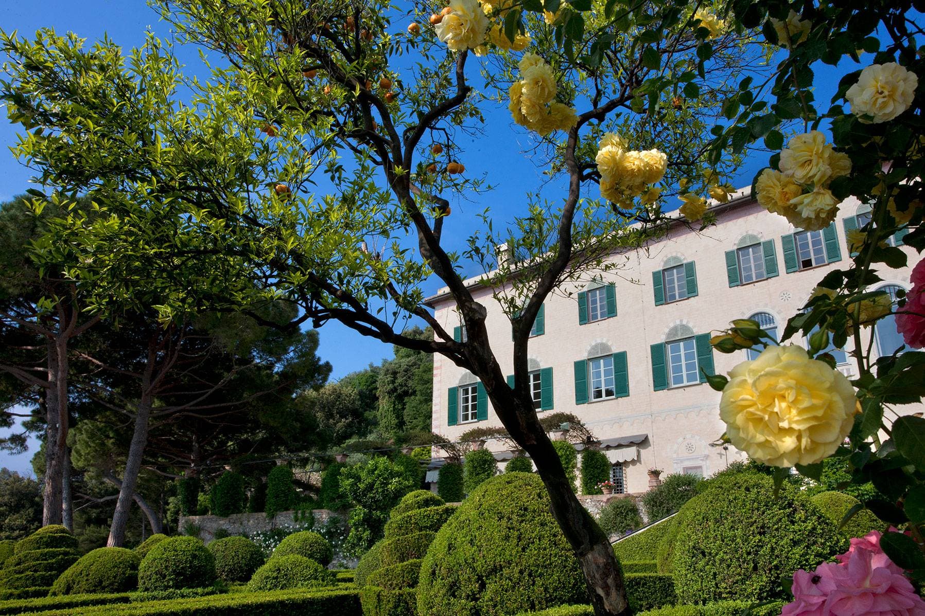 La Cervara