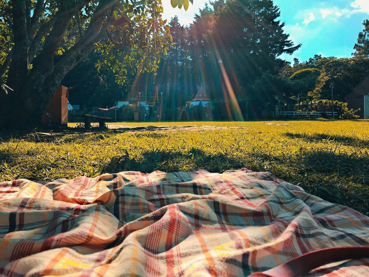 A colorful plaid blanket rests on green grass in a sunny outdoor event space surrounded by trees.