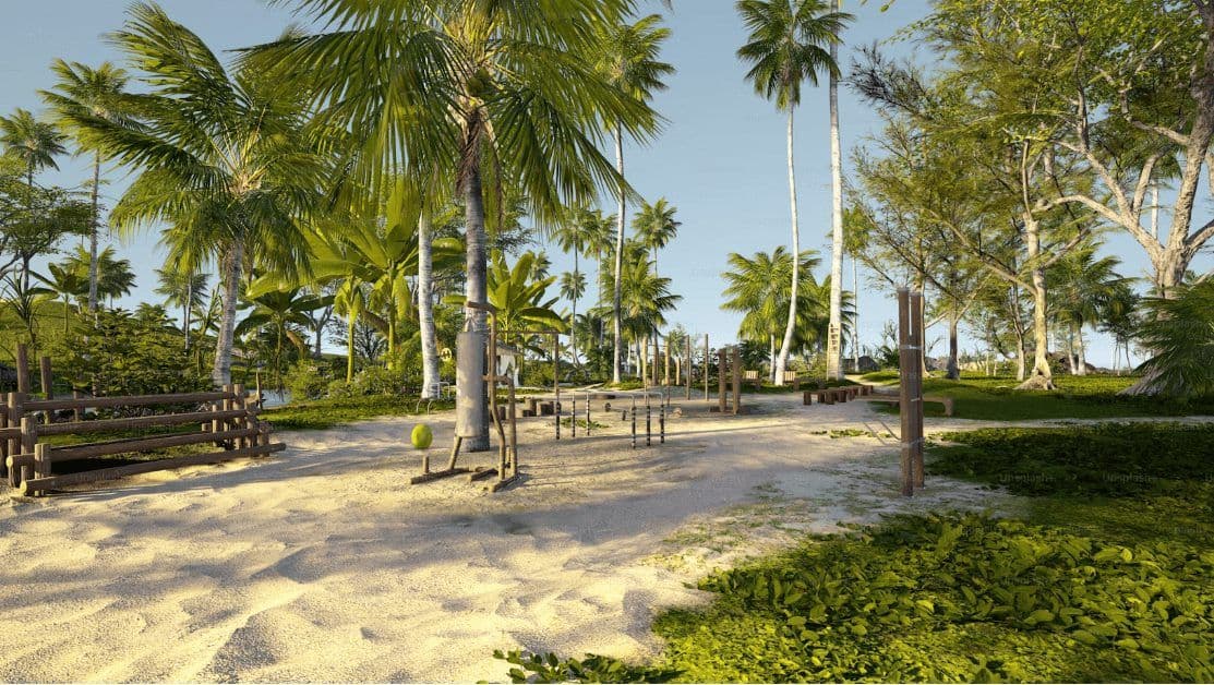 Tropical outdoor gym with sandy paths and palm trees, perfect for team building activities.