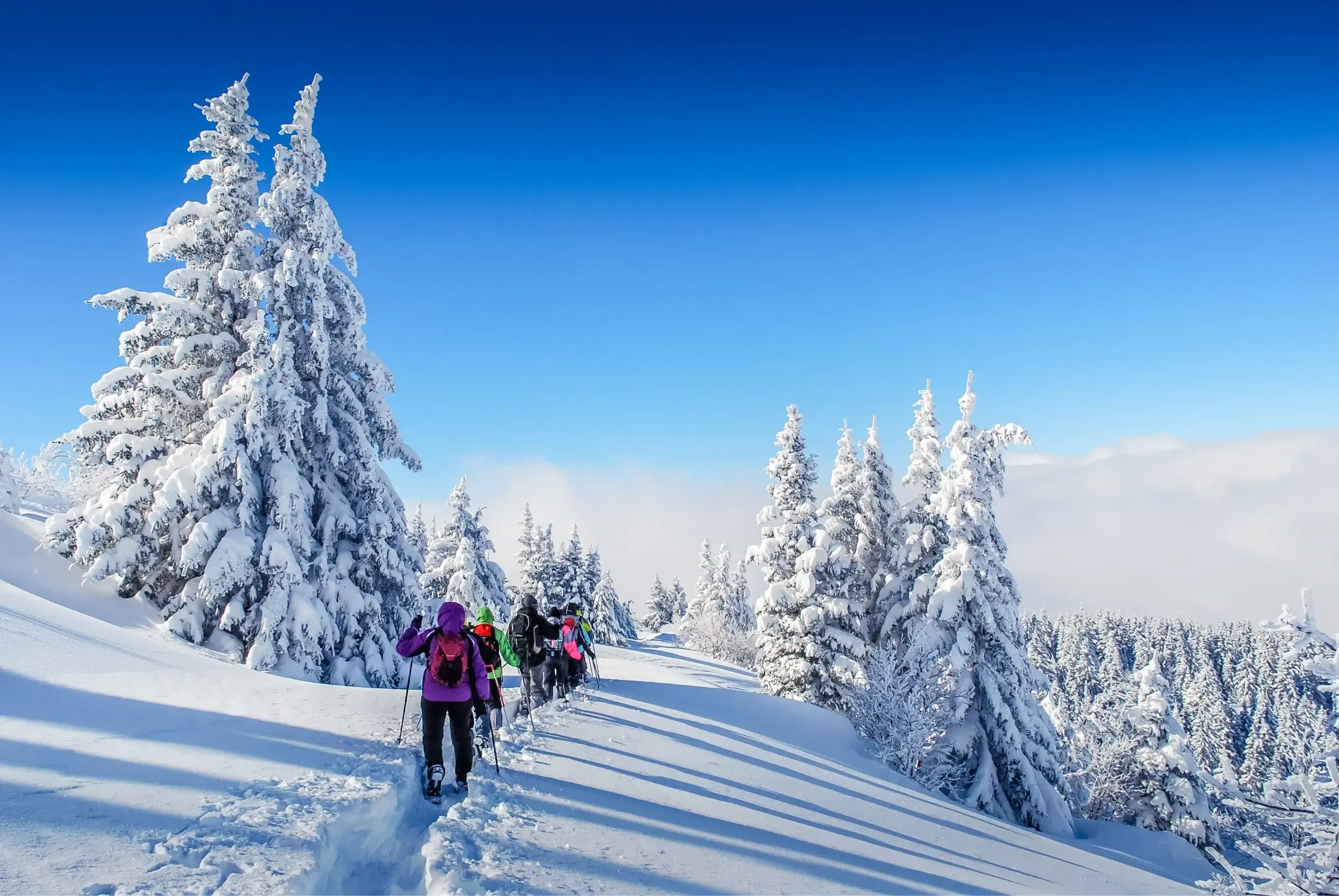Équipe en séminaire ski d'entreprise en montagne, alliant travail et activités de détente