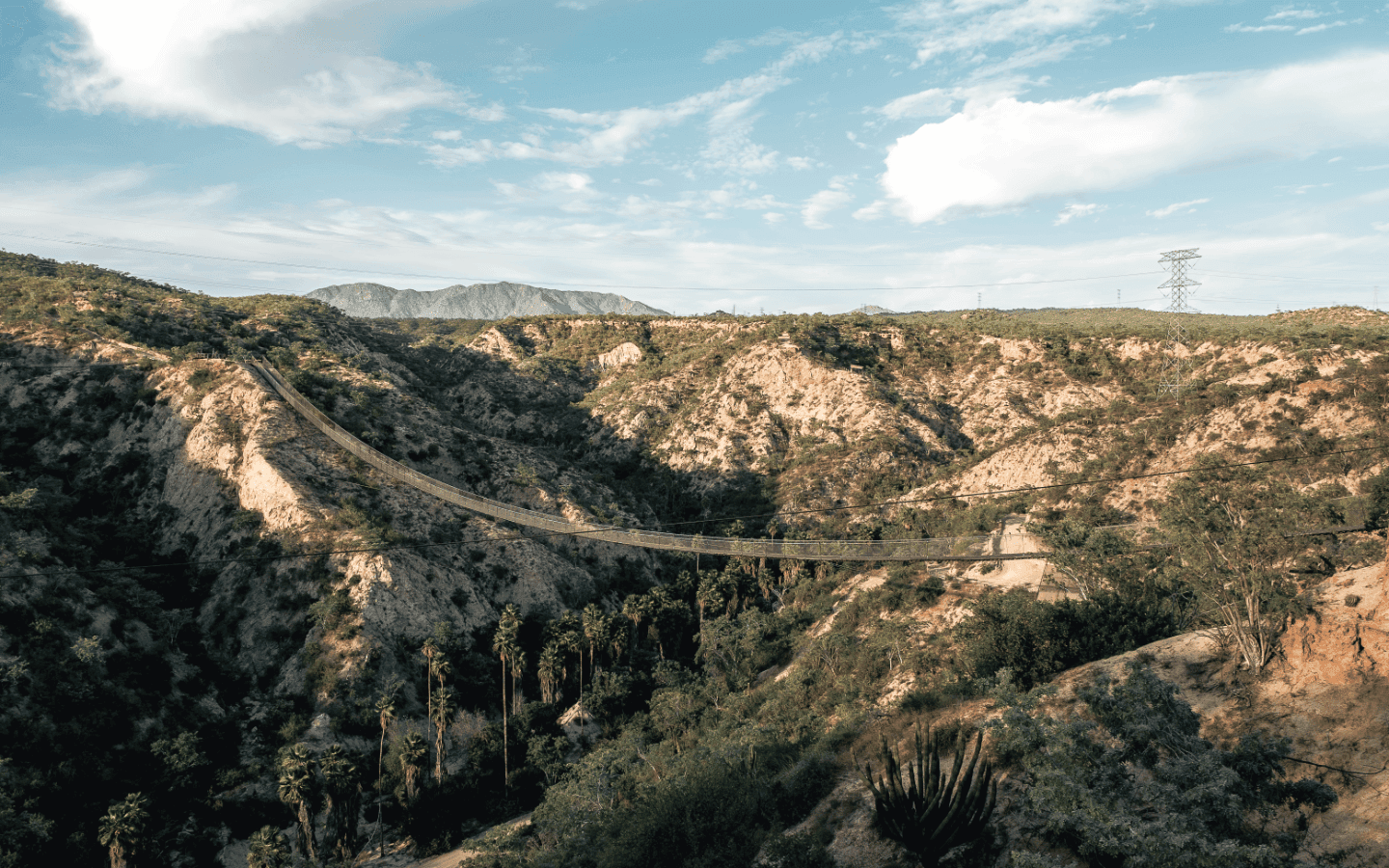 Wild Canyon Adventures