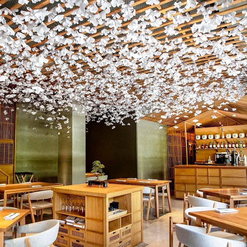 Nozomi Sushi Bar