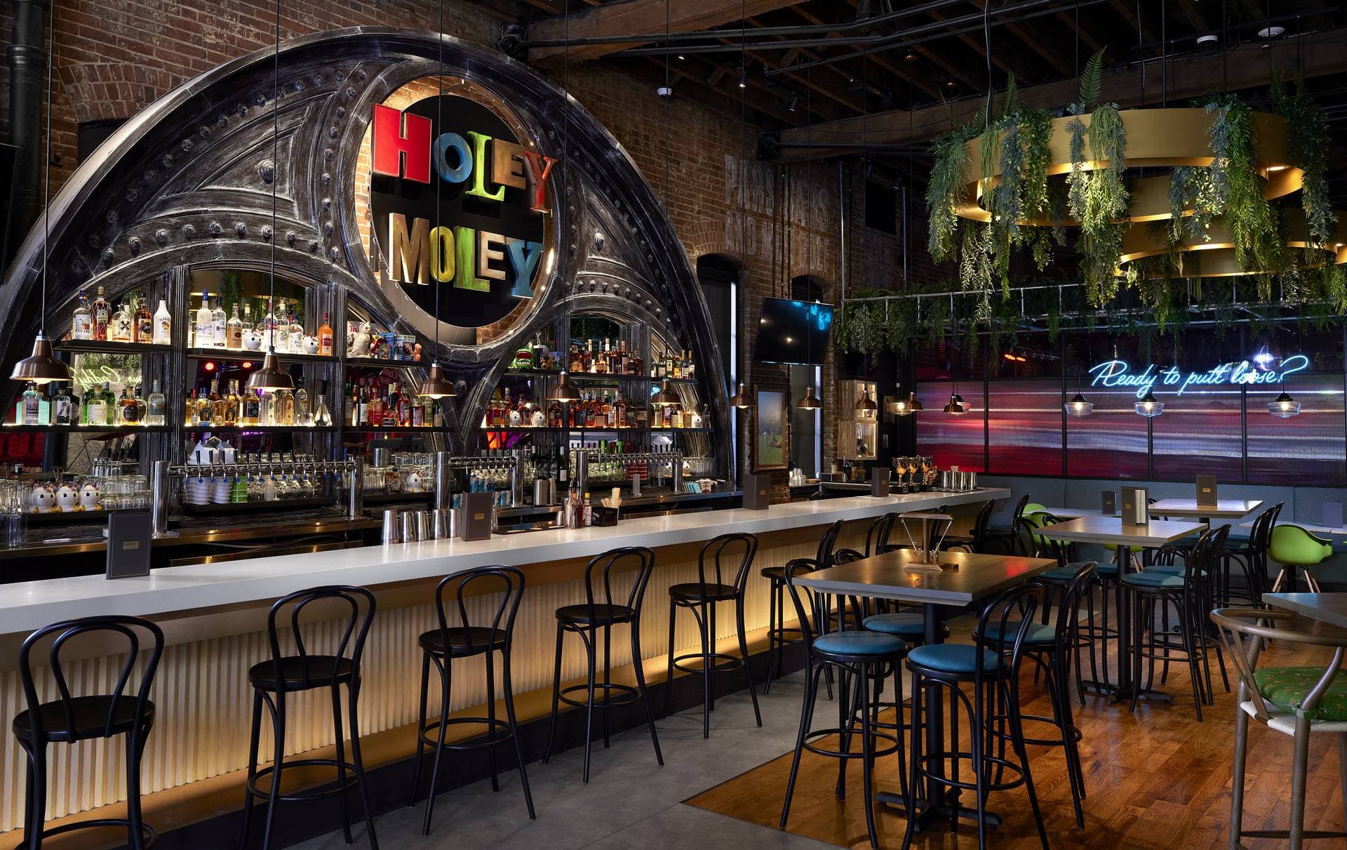 Holey Moley Golf Club