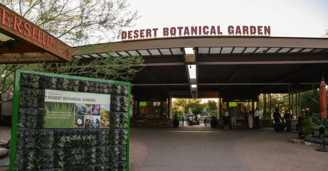 Desert Botanical Garden