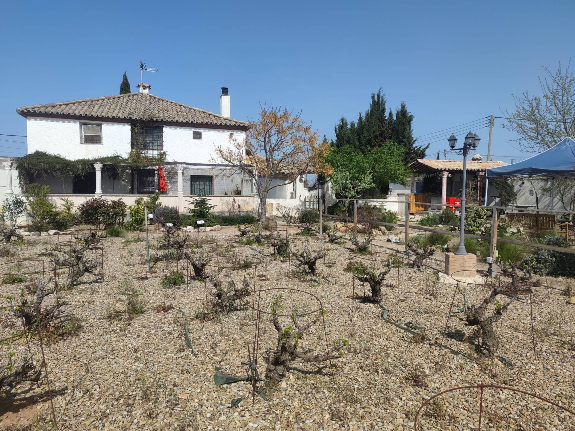 Finca Torre Pilar
