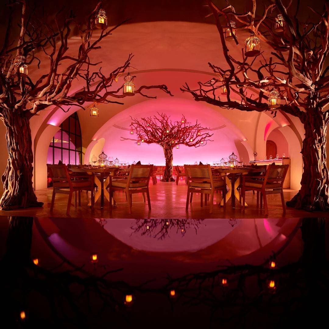 Arbol