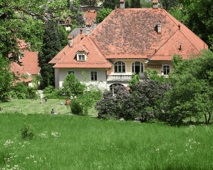 Villa Vitamus