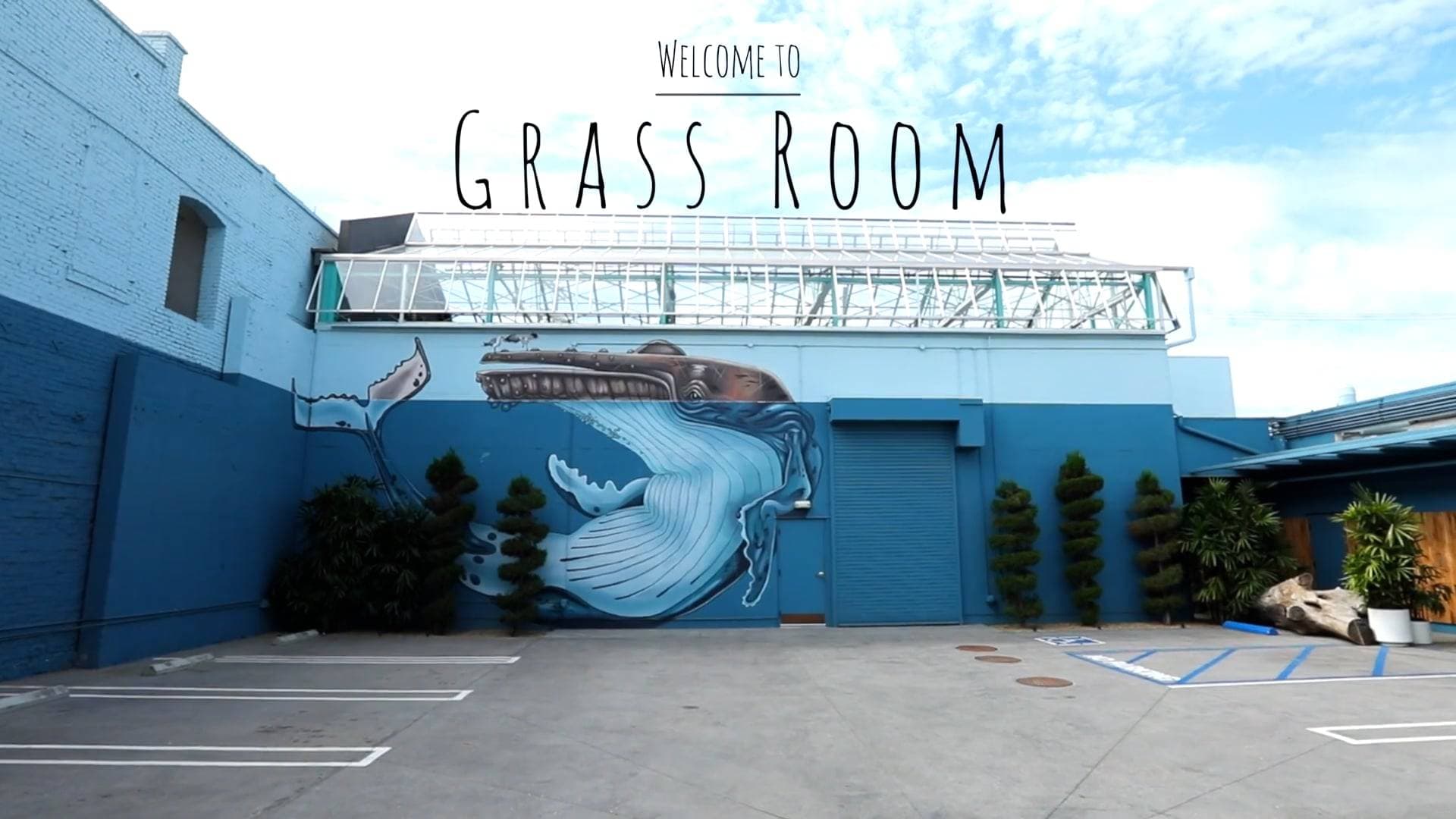 Grass Room - Marvimon