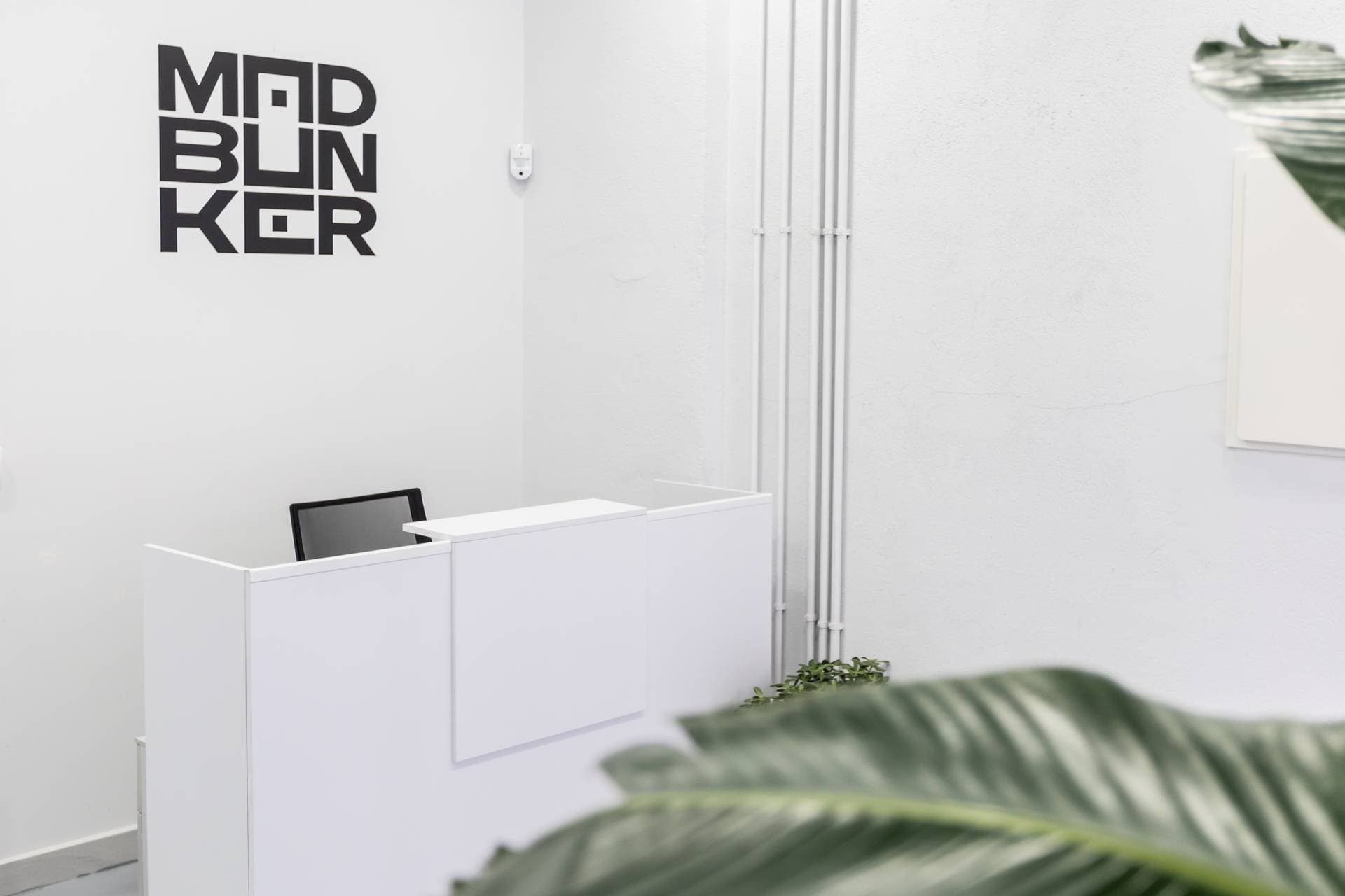 Mad Bunker